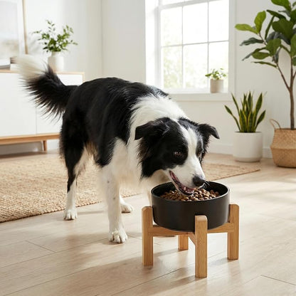 hjn Elevated Ceramic Dog Bowl 15°Slanted Raised Dog Bowl with Bamboo Stand for Small Medium Dogs and Cats, Pet Feeder -7.6-Cup (1800ml)-Black