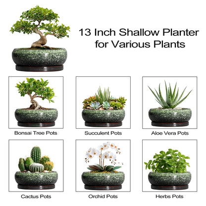 EPFamily Bonsai Pots - 13 Inch Ceramic Succulent Planters Indoor, Round Shallow Planter with Drainage Hole and Saucer, Large Succulent Pot, Bowl Planter Outdoor, House Decor, Housewarming Gift, Green
