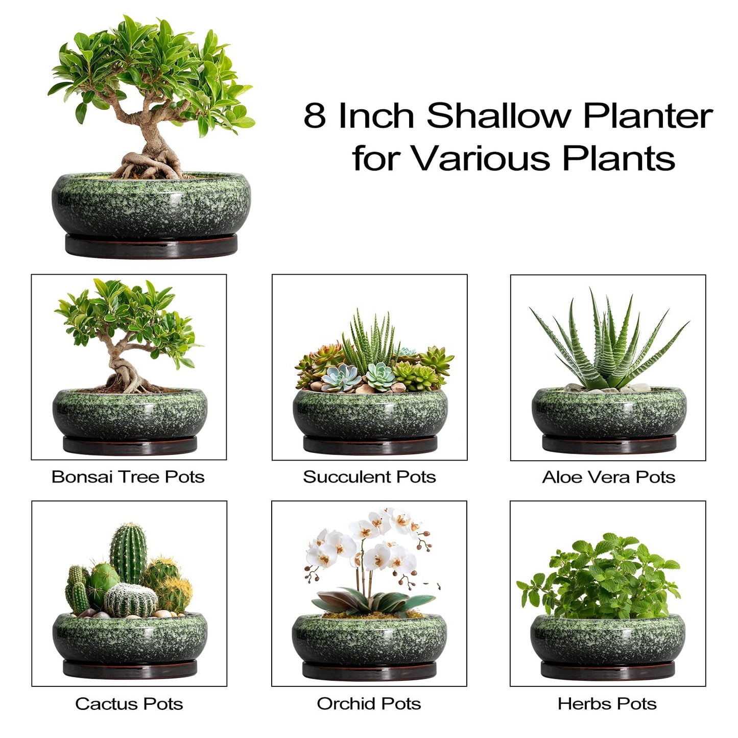EPFamily Bonsai Pots 8 Inch - Ceramic Succulent Pots with Drainage Hole and Saucer, Shallow Plant Pot for Indoor Outdoor, Bonsai Tree Pots, Round Planter Bowl, Home Decor, Gift for Plant Lover, Green
