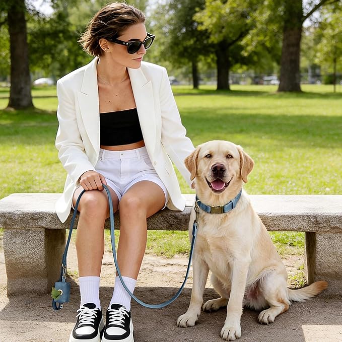 Didog Soft PU Leather Dog Collar, Stylish Quick Released Dog Collar for Large Dogs, Easy Clean Adjustable Pet Collar for Daily Walking, Blue, L Fit 16-22" Neck