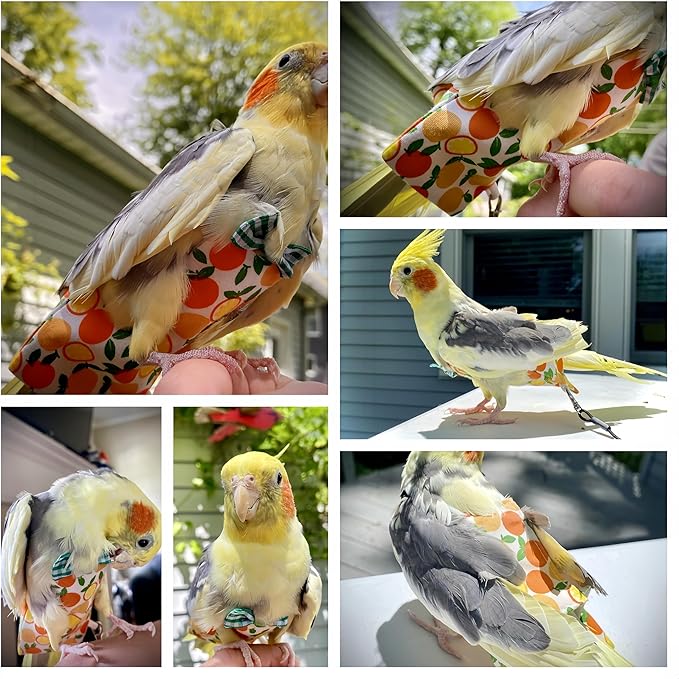 6Pcs Bird Diapers Bird Harness Flight Suits Diapers Reusable Parrot Nappy with Waterproof Inner Layer Washable Cute Urine Wet Suit Costume for Cockatiel Conure Budgie Macaw Parakeet, L