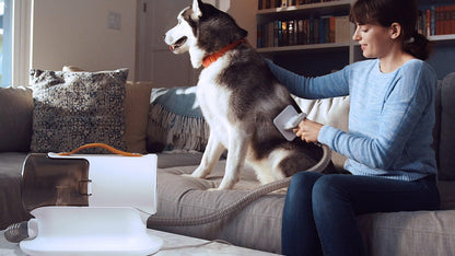 AIRROBO Dog Grooming Vacuum, Dog Grooming Kit,12000Pa Strong Pet Vacuum, 2L Large Capacity Vacuum for Shedding Grooming Hair, Quiet,PG100