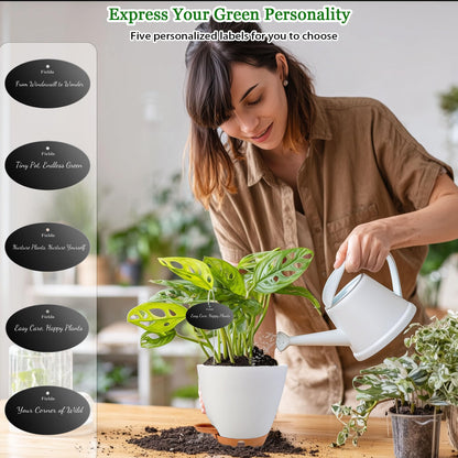6 Inch Self Watering Pots for Indoor Plants(5-Pack) – Small Plastic Planters with Water Level Window, Drainage Holes & Detachable Trays, Indoor Outdoor Flower Pots for Herbs, Snake,Pothos(White)