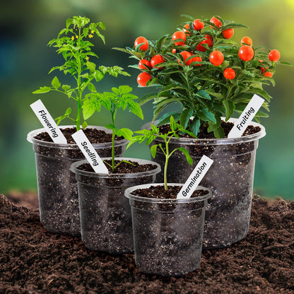 Bonviee 36 Packs 7/5/4/3.5 Inch Clear Nursery Pots for Plants, Reinforced Clear Nursery Pots with Drainage Hole,Transparent Plastic Plant Pot Seedling Planter Seed Starter Flower