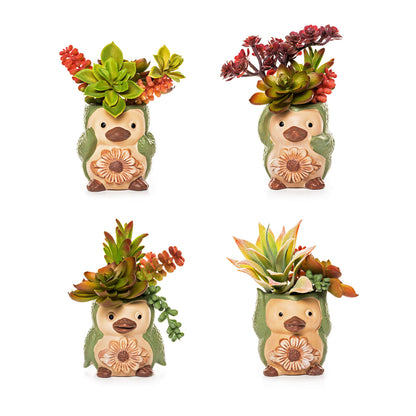 Bird/ Penguin Mini Succulent Pots, 3.6x3.5x2.3,Ceramic Animal Succulent planters,Cute Set- 4 small Flower pots,Cactus Animal Planter, Indoor/ outdoor Plant Pot,Funny Planters with Drainage Hole