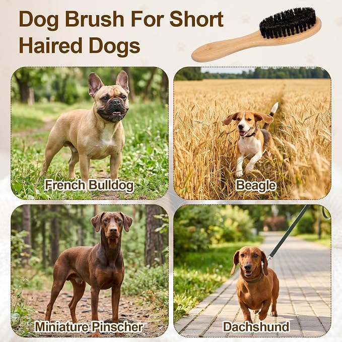 YUXIANLB Boar Bristle Pet Brush with Wood Handle, Soft Brush for Short Hair | Soft Cat and Dog Daily Grooming Tool for Short Hair Cats Small Dogs Gentle Massage Dandruff Removal