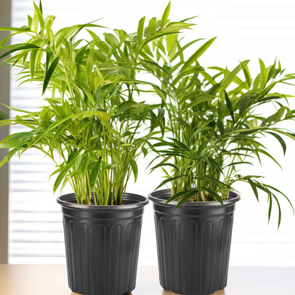 30Pack 2 Gallon Plant Nursery Pots, Thickened Soft Plastic Seedling Starter Pots, Plastic Plant Container with Drainage Hole for Indoor Outdoor Flower Seed,Succulents,Cuttings,Transplanting - Black
