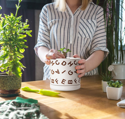 D'vine Dev Set of 2 Ceramic Planter Pots with Drainage Hole and Saucer, 6 Inch Plant Pots for Plants Indoor Houseplants, White, 99-Z-G-1-Y