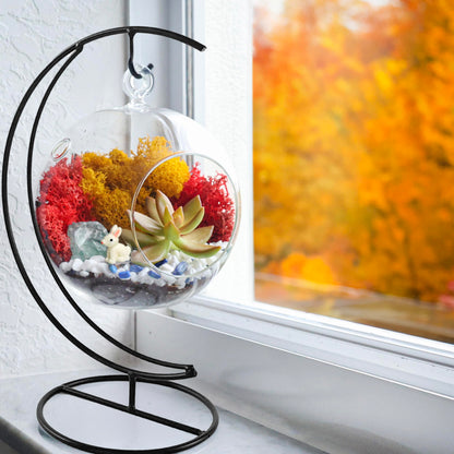 Creations by Nathalie DIY 5" DIY Globe Terrarium Kit - Build Your Own Glass Terrarium for Adults & Teens with Moss, Crystals, Tools & Decorative Figurine - Mini Ecosystem (Plant Not Included)