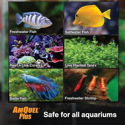 Kordon AmQuel Plus Aquarium Water Conditioner - Instantly Detoxifies Ammonia, Nitrite, Nitrate, and Chlorine Remover for Freshwater & Saltwater Aquariums, 16 Ounces (Pack of 2)