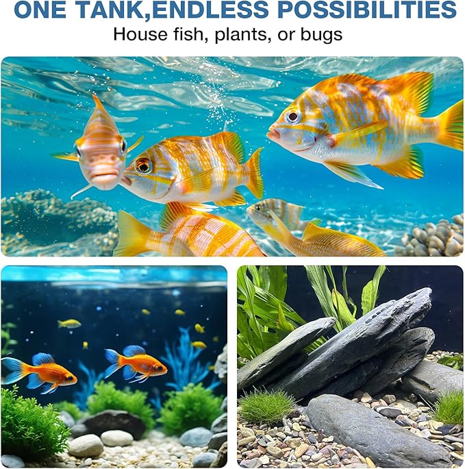 5 Gallon Glass Fish Tank, Nano Aquarium Fish Tank, Rimless Low Iron Aquarium for Betta/Turtle/Goldfish/Snails/Shrimp and Aquatic Planting