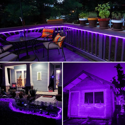 JMEXSUSS 2 Pack Purple Lights Battery Operated Halloween Lights Outdoor Waterproof, Each 33 ft 100 LED Battery Powered Rope Lights, Purple String Light with Remote for Balcony Garden Halloween Decor