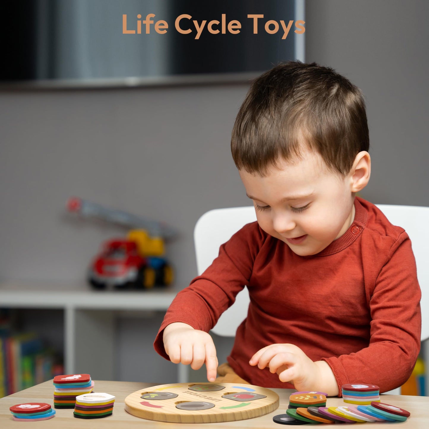 Woodtoe Life Cycle Toys for Kids, 12 Themes Montessori Preschool Science Center Materials, Wooden Learning & Educational Toys for Toddlers, Learning Game STEM Birthday Toys for Boy Girl Age 3-6