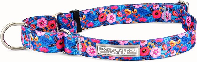 Lucky Love Dog Martingale Dog Collar - Adjustable, No-Slip, Durable, & Soft Webbing Collar for Male and Female Dogs Ideal for Training & Walking - Zuzu, Small