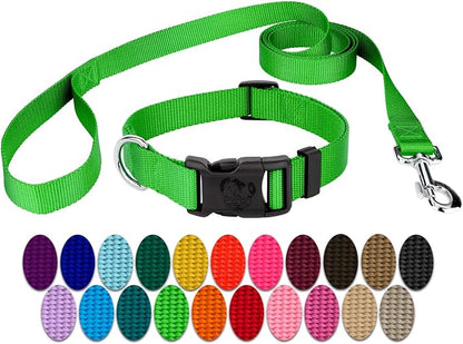 Country Brook Petz - Everyday Nylon Dog Collar and Leash - 10+ Cool Colors (3/8 Inch, 2XS, Hot Lime Green)