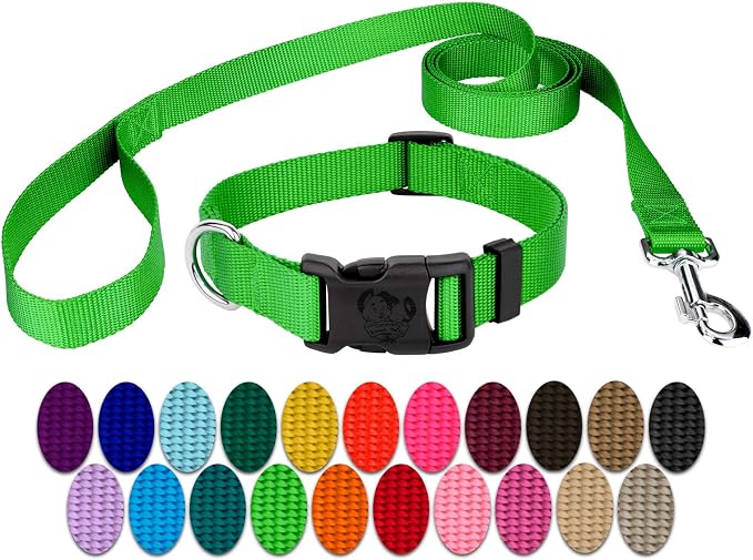 Country Brook Petz - Everyday Nylon Dog Collar and Leash - 10+ Cool Colors (1 Inch, Large, Hot Lime Green)