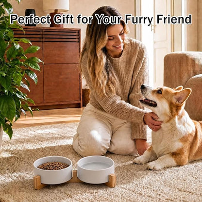 MateeyLife Ceramic Dog and Cat Bowls with Stand, 2-Pack Food and Water Bowl Set - Non-Slip Pet Bowls for Small & Medium Size Dogs，28.7OZ(White)