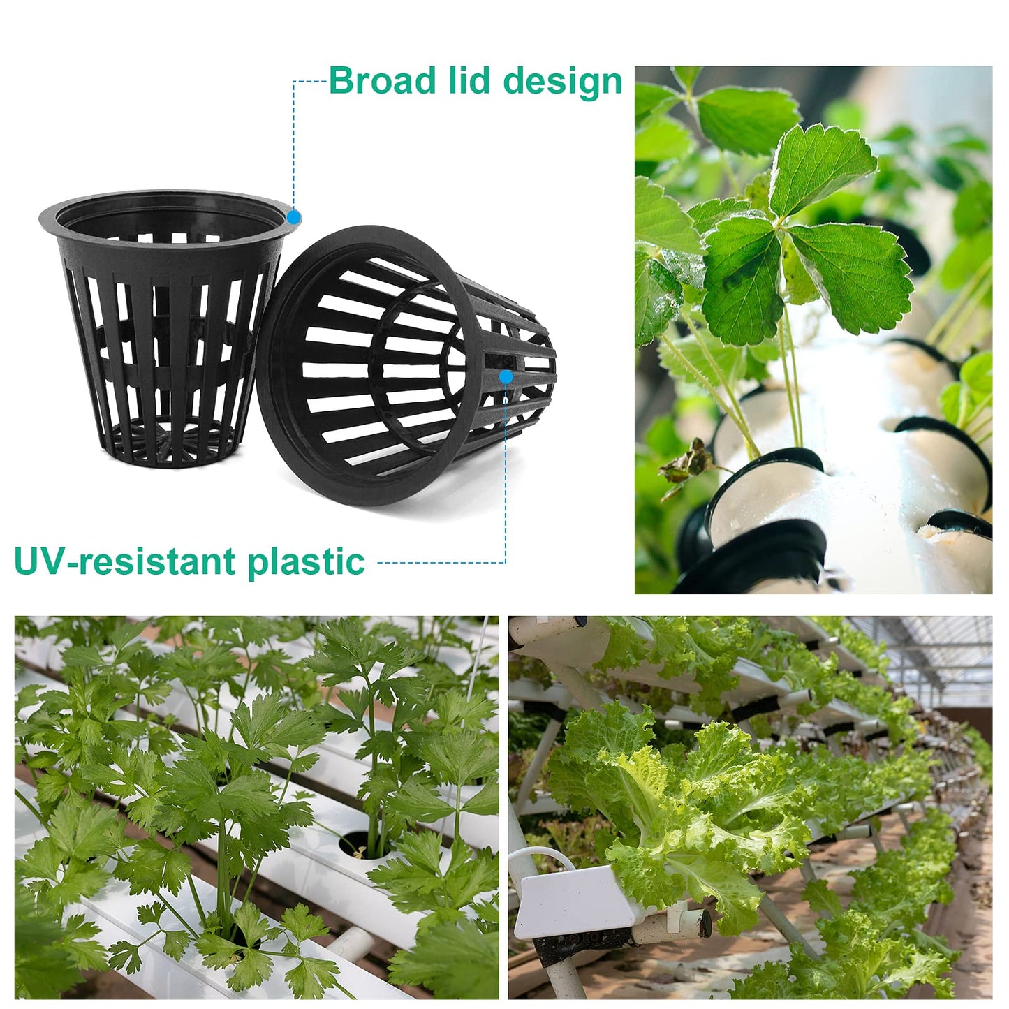 Business King 30 pcs 3 inch net pots & 50 pcs 2 inch net pots with 80 pcs Plant Lable