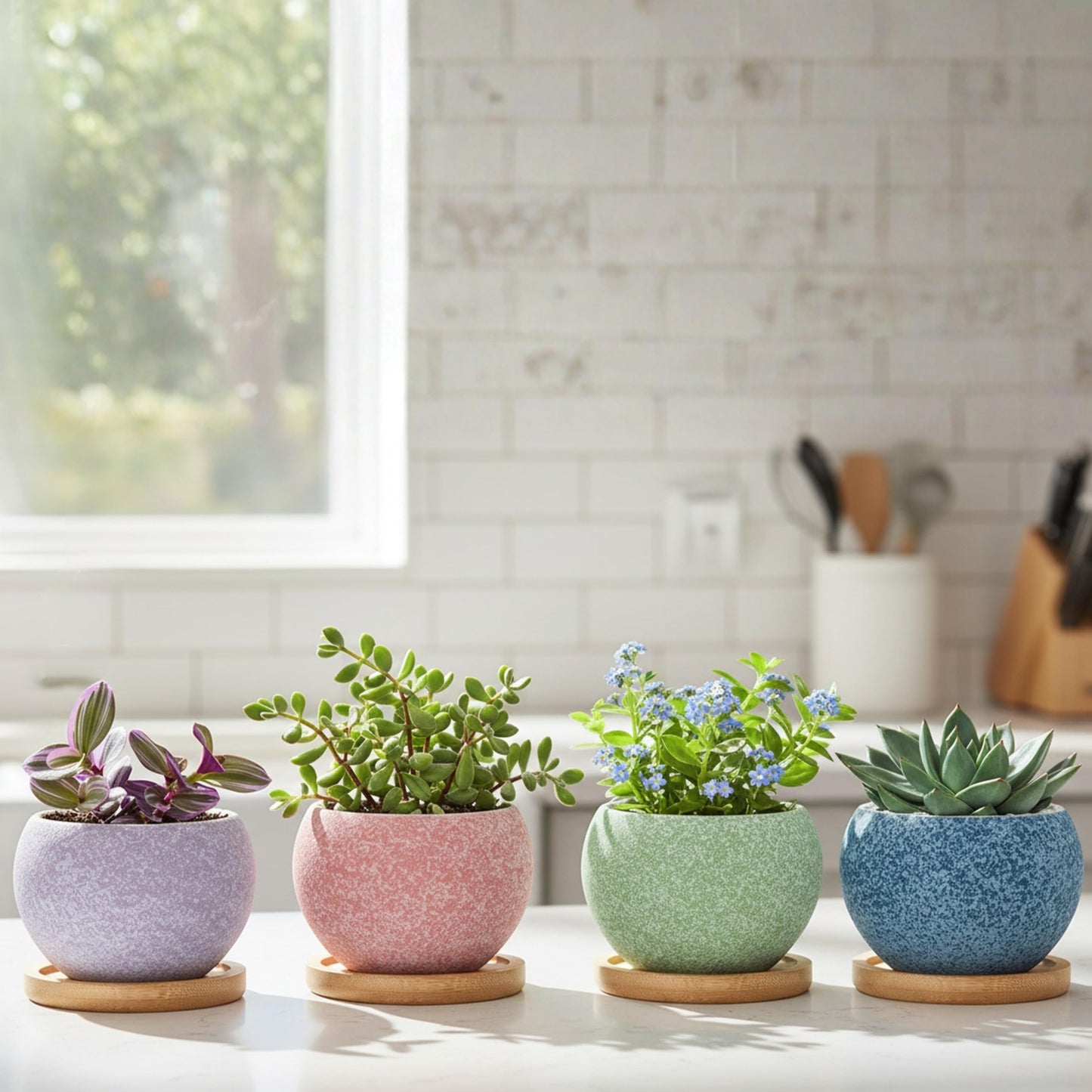 Thriving Thicket 3 inch Ceramic pots for Plants, Small Succulent Pots Set with Drainage, 6 Pack Flower Pot for Indoor Plant, Planters for Little or mini Cactus 2 inches Plants