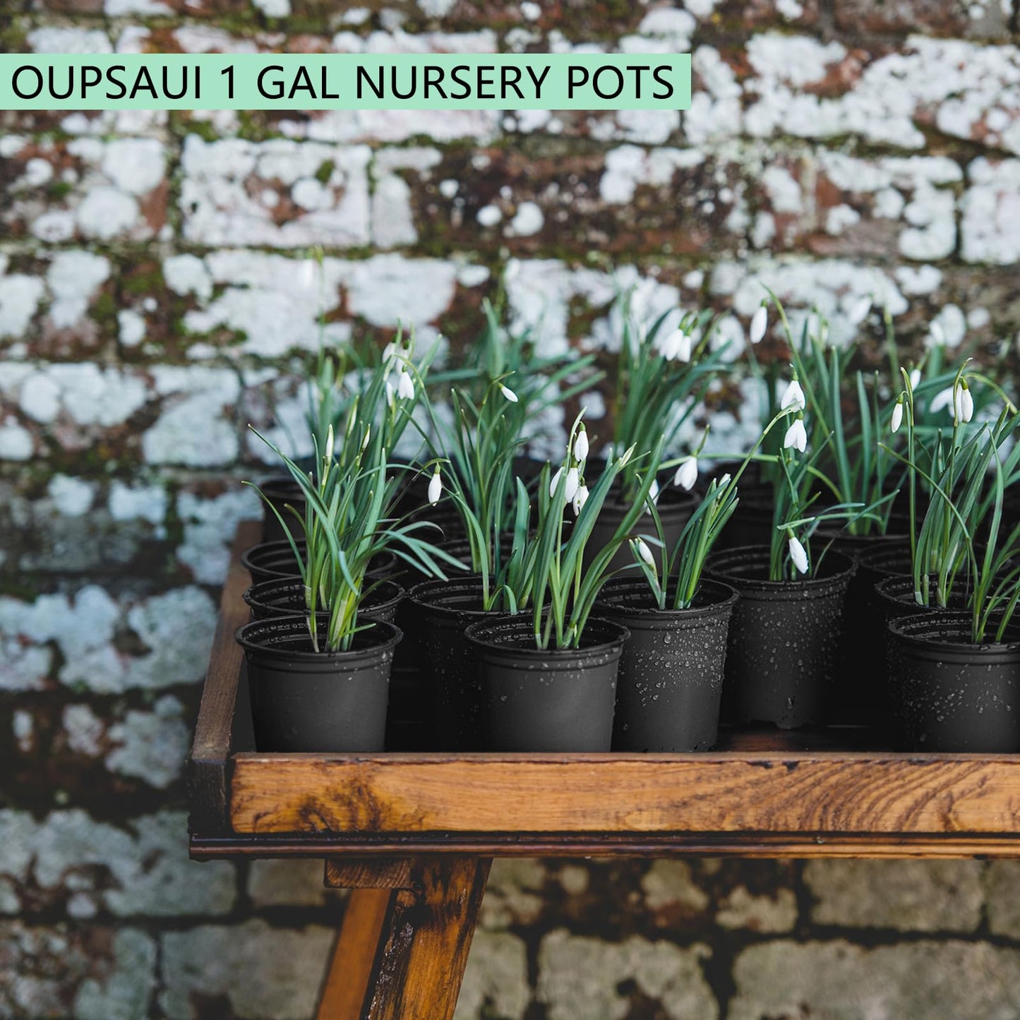 OUPSAUI 1 Gallon Pots for Plants,Flexible Gallon Plastic Nursery Pots with Drainage Holes, Plastic Pots for Outdoor Plants (1Gal-20pcs)