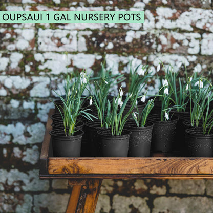 OUPSAUI 1 Gallon Pots for Plants,Flexible Gallon Plastic Nursery Pots with Drainage Holes, Plastic Pots for Outdoor Plants (1Gal-20pcs)