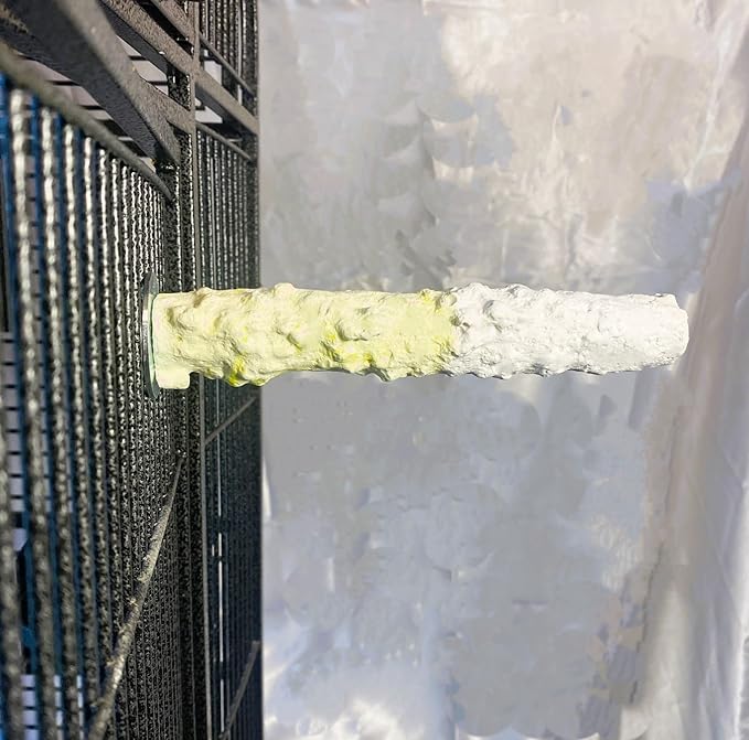 Polly's Edible Cuttlebone Calcium Bird Cage Perch for Budgies, Parakeets, Amazons, Blue & Golds, Macaws and Cockatoos.… (Pineapple, Medium)