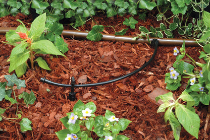Rain Bird LNDDRIPKIT Drip Irrigation Landscape/Garden Watering Kit with Drippers, Micro-Bubblers, Micro-Sprays