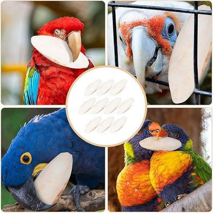 10 Pack Bird Cuttlebone Chew Toy, Natural Cuttlebone for Birds Parakeets Reptile Tortoises Snails, Cuttlefish Bone for Birds, Bird Calcium Stone for Parrots Cockatiels Budgie Macaw