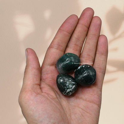 Amazing Gemstone Moss Agate Crystals and Healing Stones Tumbled - 1 oz Moss Agate Stones, Healing Stones for Energy Balance, Stress Relief - Premium Polished Gems Rocks for Meditation & Wellness
