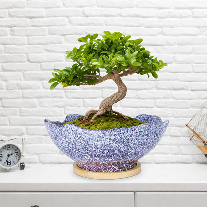 ARTKETTY Bonsai Pots - 9.06'' Ceramic Pots for Indoor Plants, Large Succulent Pots with Drainage Bamboo Tray, Unique Bonsai Tree Planters Round Cactus Flower Plant Container Bowl Home Office Decor