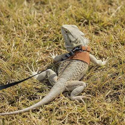 4 PCS Harness and Leash Set, Adjustable Soft Leather Bearded Dragon Leash and Harness Set for Small Animals, Reptiles, Squirrels, Rats (Brown, Black, Silver)