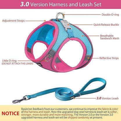 AIITLE Easy Walk Dog Harness and Leash Set - Pet Supply No Pull, Step in Adjustable Dog Harness with Padded Vest, Dog Harness No Choke Over, Easy to Put on Medium Dogs Hot Pink L