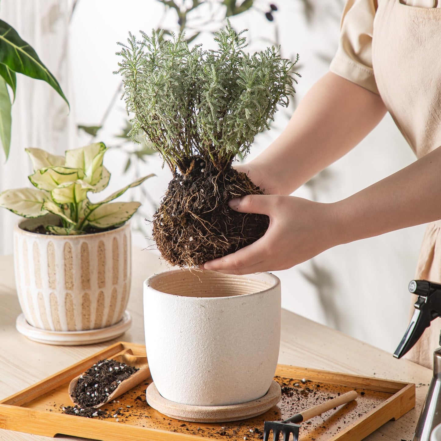 POITONRU Ceramic Flower Pots Indoor-Outdoor: 5.75 Inch Planters with Drainage Holes & Saucer - Modern Decorative Plant Pots Ceramic for Home Gardeners (White)