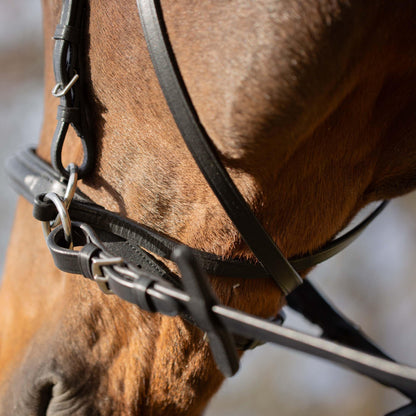 Equinavia Saga Cross-Under English Bitless Bridle for Horses | Reins Included - Black - Cob