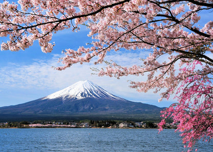MBOQIU 1000 Piece Puzzle for Adults - Mount Fuji Puzzles for Adults 1000 Pieces, Letters on Back, Nature Landscape Jigsaw Puzzle, Japan Sight Challenging Puzzles for Teens Seniors - 27.6 x 19.7 inches