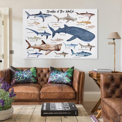 CZOURPVU Types of Shark Poster Shark Educational Chart Poster16x24inch(40x60cm)