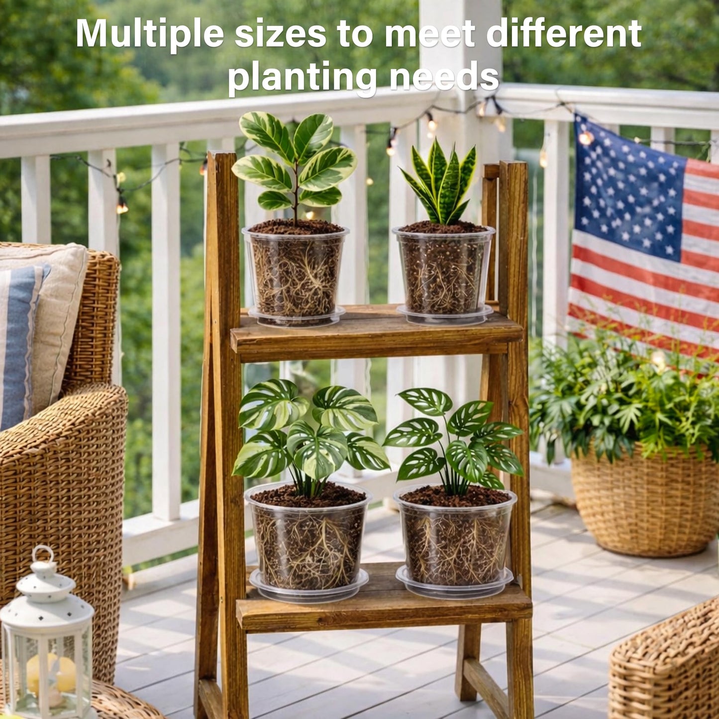Bluepro 12 Pack 10/8/6/5 Inch Reinforced Large Clear Nursery Pots with Saucers, Transparent Variety Pack Plastic Plant Pot with Drainage Holes for Vegetable Propagation, Root Cutting, Seed Starting