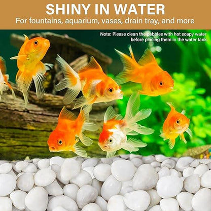 NUPICK 12lb White River Rocks for Plants Indoor, 1-2Inch Pebbles for Vases Fillers, Decorative Gravel for Fish Tank, Natural Polished Stones for Succulent, Bonsai, Landscaping, Bird Baths