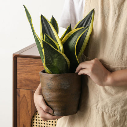 Pkeo Bbun 4+6 Inch Ceramic Planter Set of 2 with Drainage Hole and Saucer for Plants, Indoor-Outdoor Large Irregular Succulent Orchid Flower Pot- Cement Paint, Inner-pots not Larger Than 5 Inch