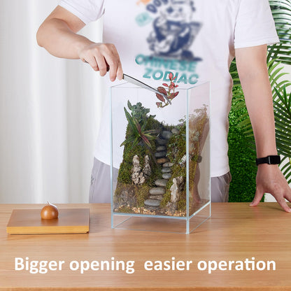 13.7H+7.8W Desktop Glass Plant Terrarium with Light, Large Propagation Station for Succulent, Moss, Miniature Gardening Landscape, Betta Fish Tank