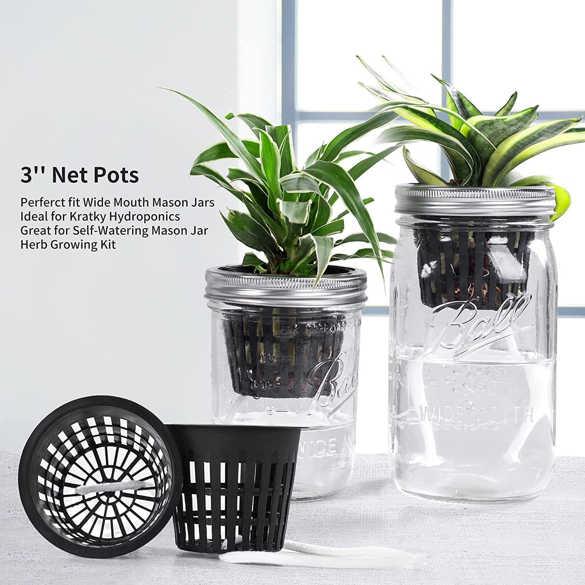 Business King 3 Inch Net Pots for Hydroponics 60 Packs with Plant Labels 60Pcs Heavy Duty Wide Mouth Net Cups Slotted Mesh Pot Garden Supplies (3 inch 60 Packs)