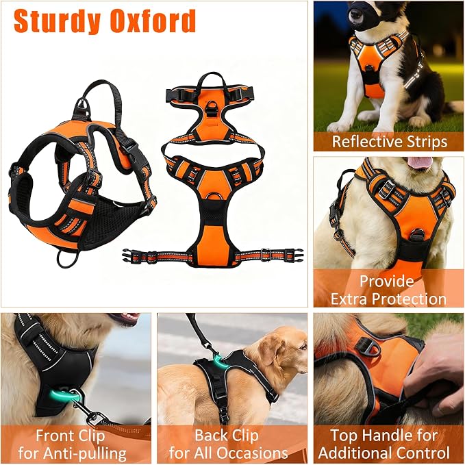 No Pull Dog Harness Adjustable Collar & Leash Set - Dog Halter Harnesses Collapsible Bowls & Poop Bag Dispenser Muzzle ID Tags Toys Fits Small Medium Large Dogs (Orange-M)