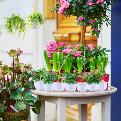 Roshtia 24 Pcs Hanging Plastic Planter Pot with Hook Flower Pots Baskets Hanging Nursery Planter Holder for Outdoor Indoor Plant Garden(Ceramic White,3.7 Inch)