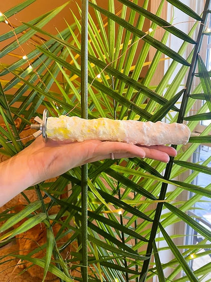 Polly's Edible Cuttlebone Calcium Bird Cage Perch for Budgies, Parakeets, Amazons, Blue & Golds, Macaws and Cockatoos.… (Pineapple, Medium)