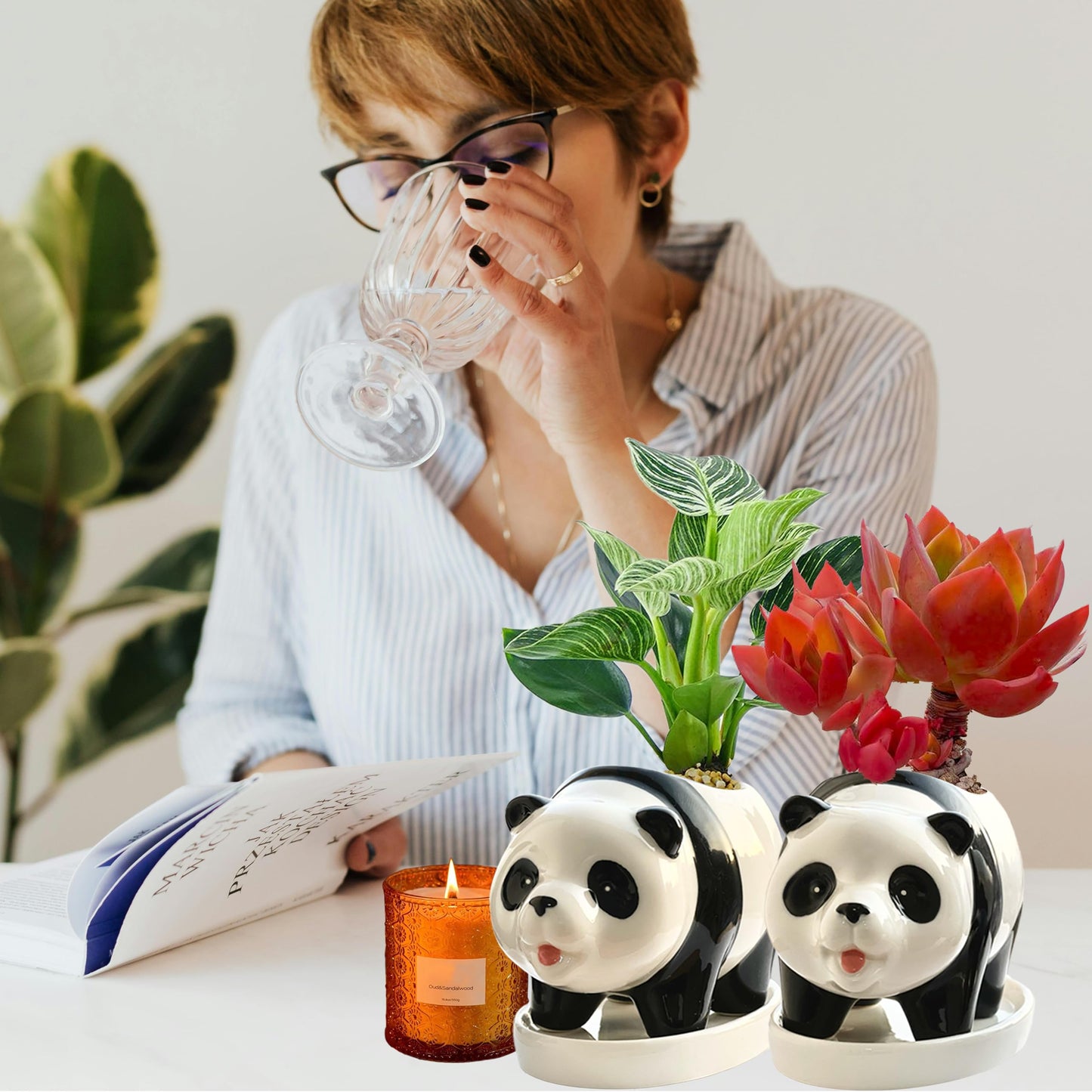KEEPPACE 2PC Panda Bamboo Planter Pots-5.7‘‘ Ceramic Animal Planters | Succulent Pots & Drainage Tray-Lucky Bamboo Plant Pots Flower Pots Indoor-Air Plants-Cactus Planters-Garden Home Decor