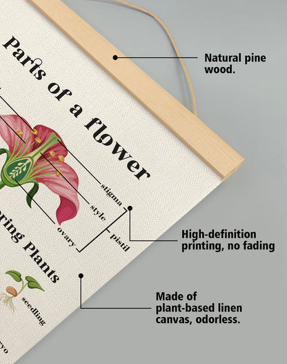 Parts of a Flower Educational Cognitive Poster,14x18.5 Inch Linen Canvas Wall Chart Plants Flower Structure and Pollination Science Learning Decor for Classroom, Homeschool ,Kids Room Decor (Pink-Flower)