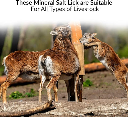 Licking Salt for Deer Block - Animal Licking Mineral Salt Block, Natural Feed Salt Rock for Horse, Deer & Animal, 10 Pound, 2 Counts