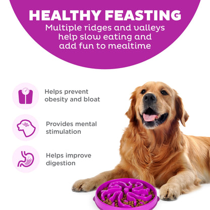 Outward Hound Fun Feeder Slo Bowl, Large Slow Feeder Dog Bowl, 4 Cups, Purple