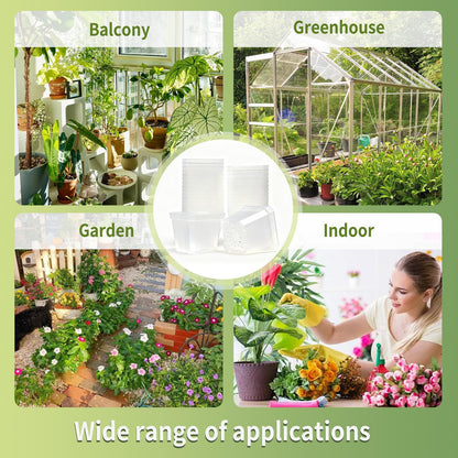 Plgardpo 4 Inch Clear Nursery Pots for Plants, 30 Pcs Square Plant Pots, Small Flower Pots for Plants, Hard Planters for Indoor Plants