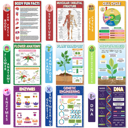 KIDS KING 18 Biology Posters for Classroom, 11x17 Inch Laminated Educational Life Science Posters for Middle & High School Decor - School Hallway, Bulletin Boards, Home Study Room